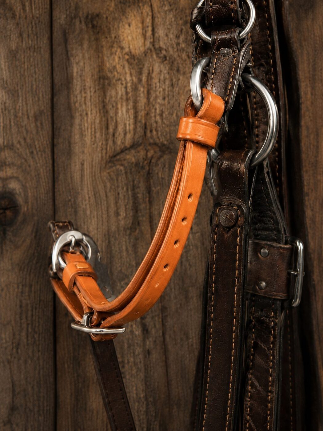 Tan harness strap with stainless hardware on a weathered wood wall